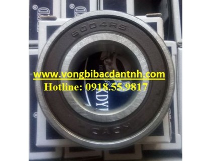 VÒNG BI 6004 - BẠC ĐẠN 6004 VÒNG BI 6004 - BẠC ĐẠN 6004